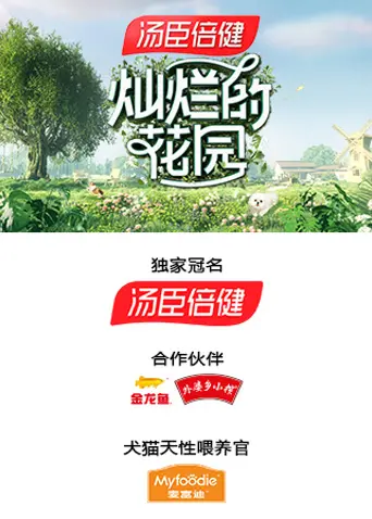 《灿烂的花园》：一场关于青春、成长与治愈的电影之旅，寻找属于自己的那片花园！