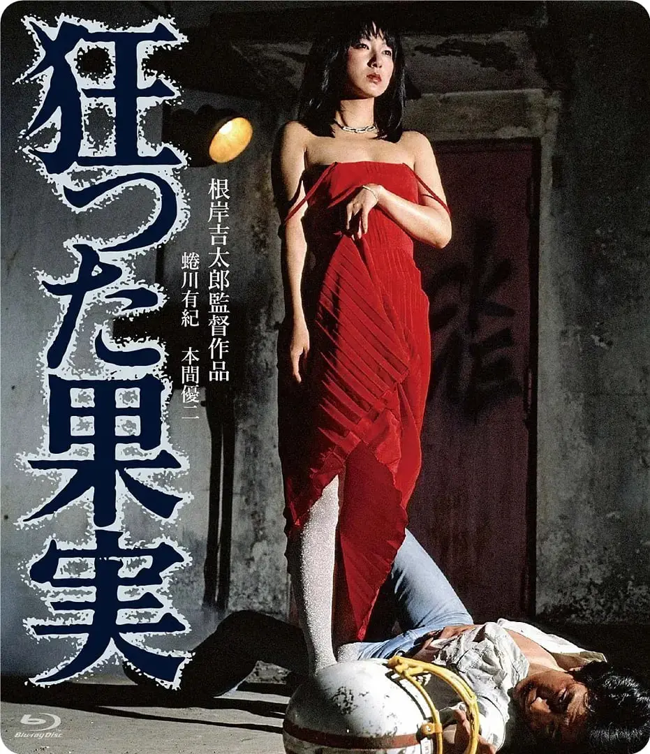 《疯狂的果实 1981》：青春的躁动与毁灭，一场华丽的悲剧！